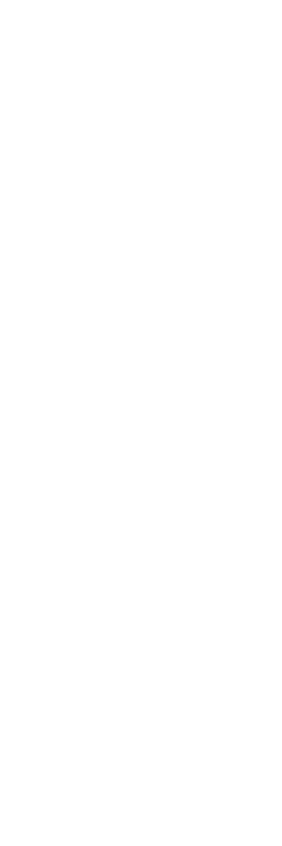 Decorative shape