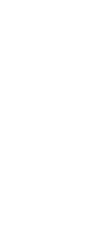 Decorative shape