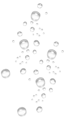Decorative shape